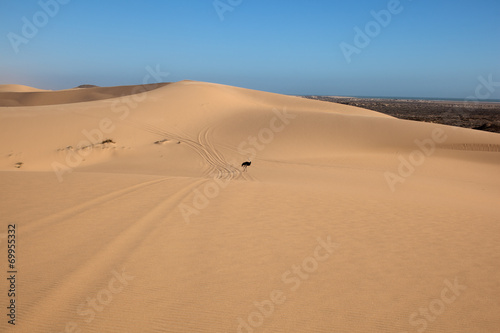 Dune di sabbia nel deserto della Namibia