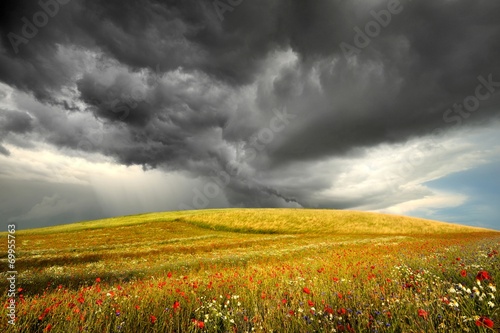 Krajobraz wiejski, burza, dojrzewanie zboża