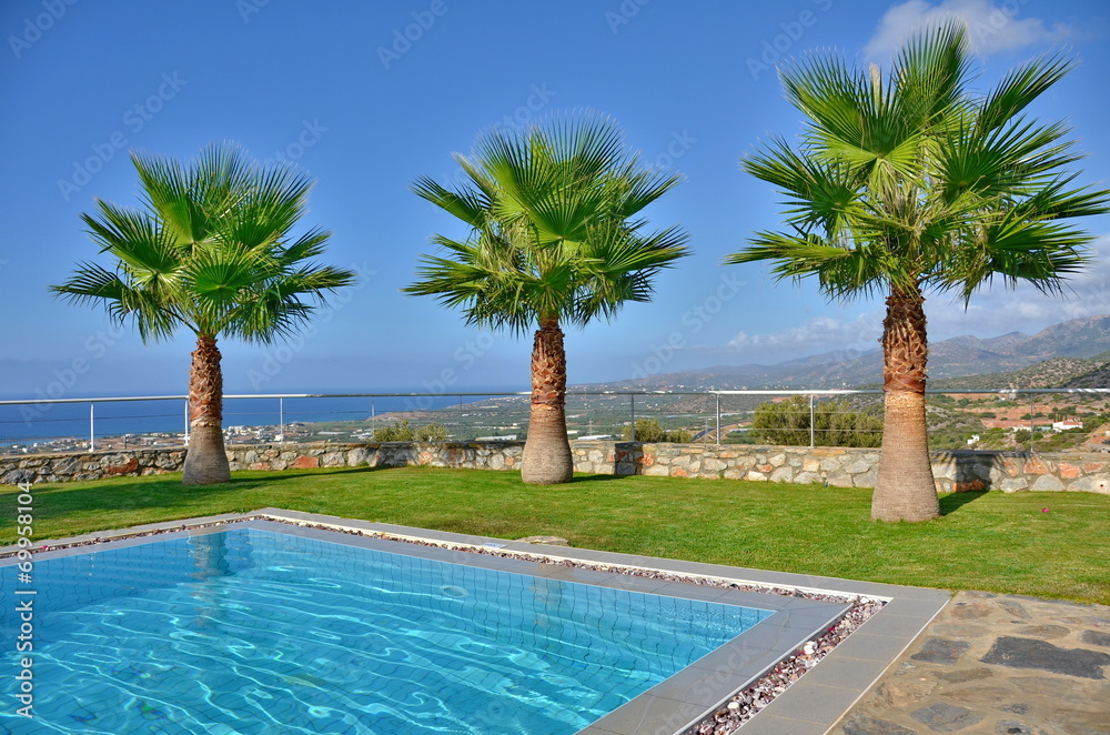 Fototapeta premium Palm Trees by the pool