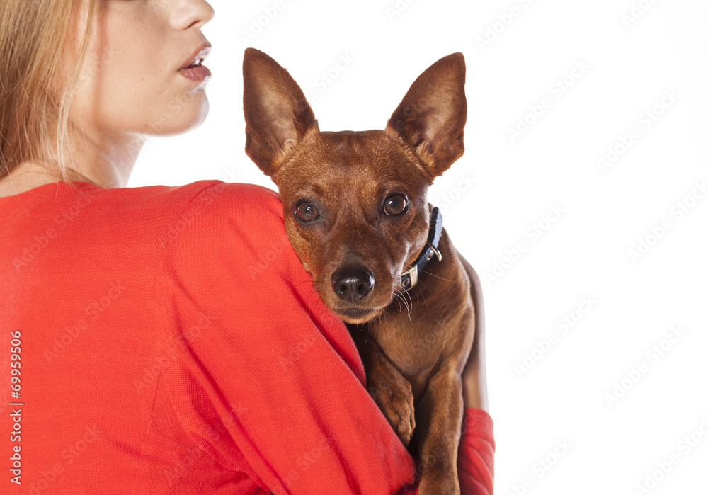 red pincer leans on the shoulder of his owner red pincer leans on the shoulder of his owner