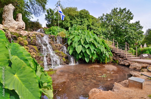 Oasis in a kibbutz in Israel photo