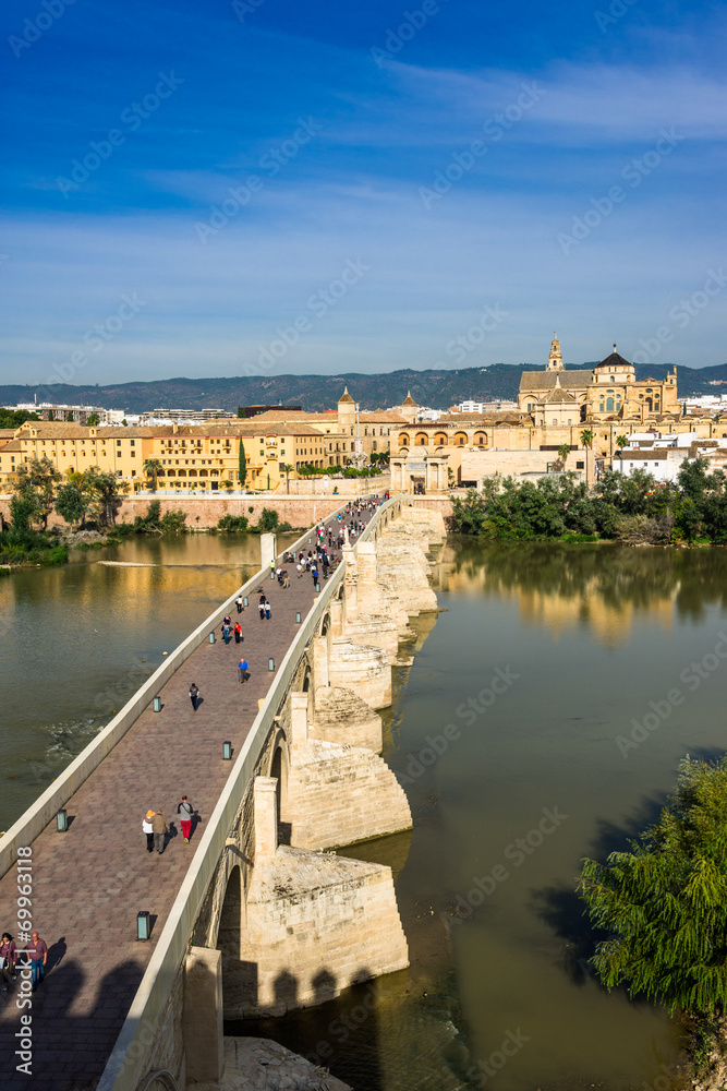 Fototapeta premium スペイン メスキータ