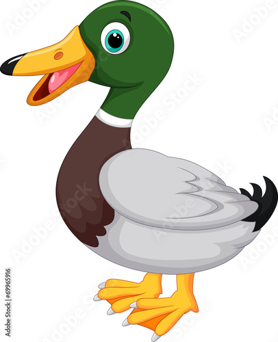 Fotografia, Obraz Cute cartoon duck