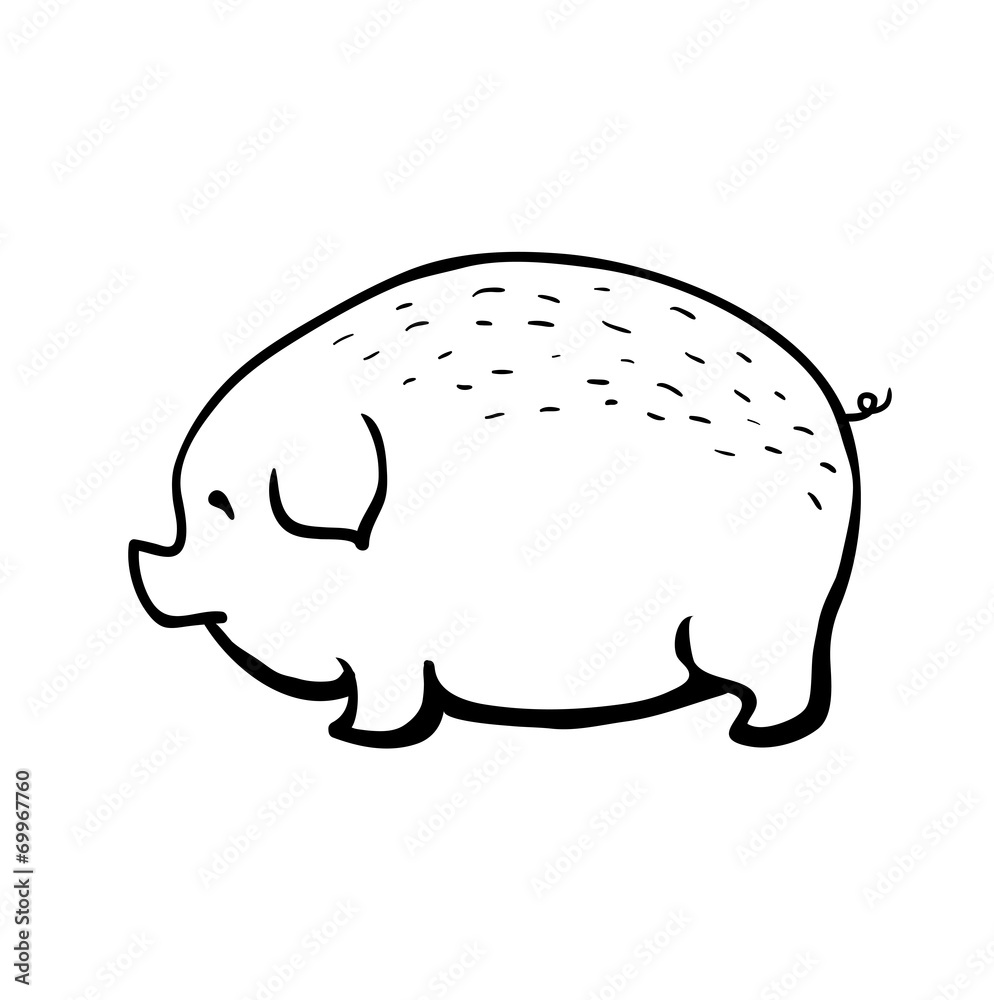 pig, vector sketch illustration