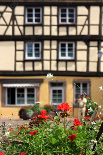 Flowers and Colmar typical architecture on the background, Alsace, France © Eve81