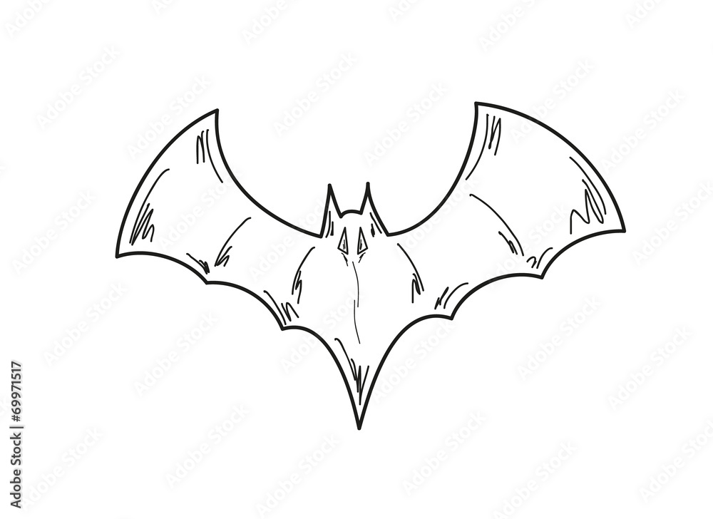 Fototapeta premium sketch of the bat