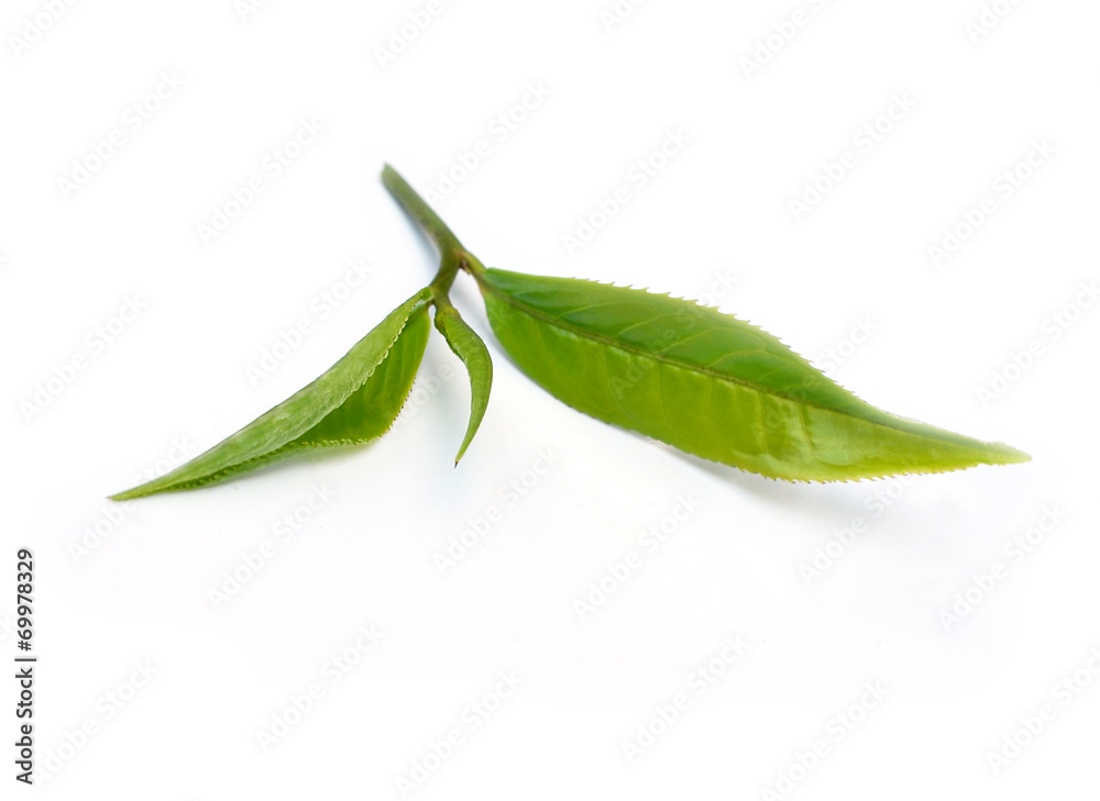 Green tea leaf isolated on white background