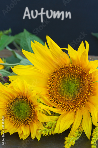 Fototapeta Naklejka Na Ścianę i Meble -  fall sunflowers