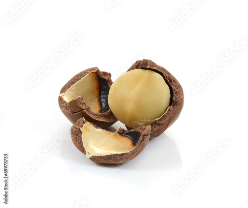 macadamia nuts on white background