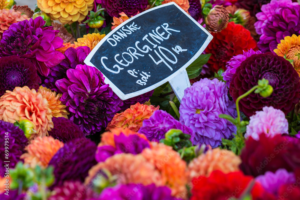 bouquets of dahlias flowers at market in Copenhagen,Denmark bouquets of dahlias flowers at market in Copenhagen,Denmark