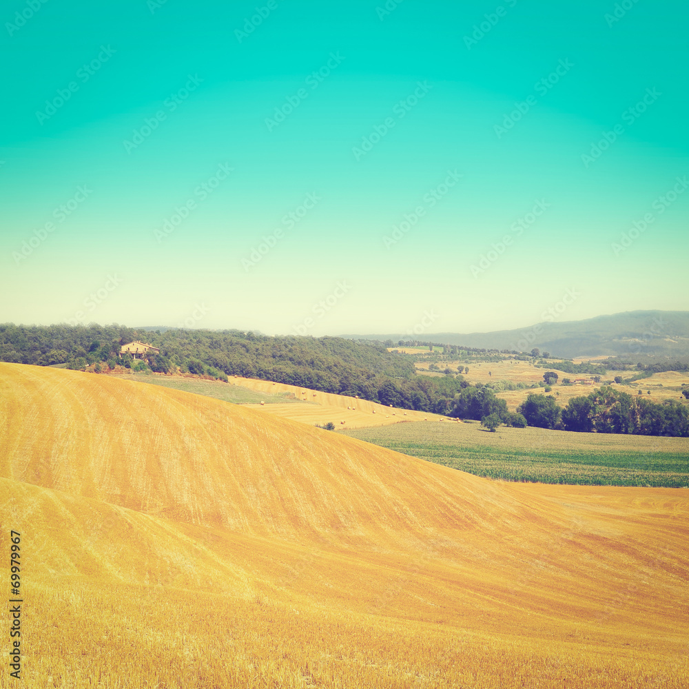 Landscape Landscape