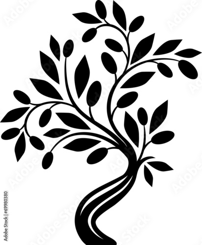 Olive tree