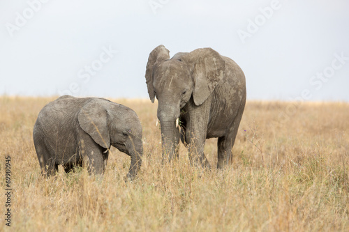 Elefant mit Jungtier © pictures4nature