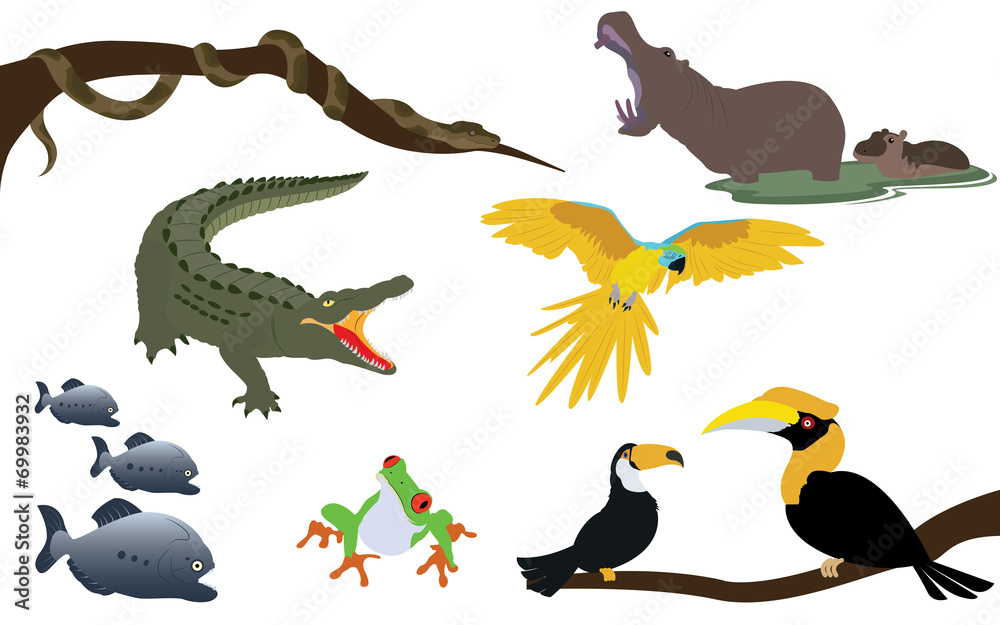 Fototapeta premium Forest Jungle and River Animals Wildlife