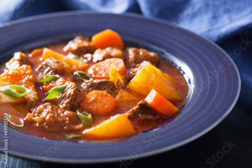 beef stew with potato and carrot in blue plate photo