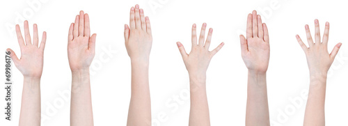 set of female hands with five fingers gesture photo