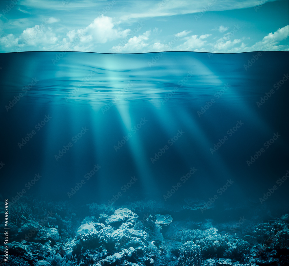 Fototapeta premium Underwater coral reef seabed and water surface with sky