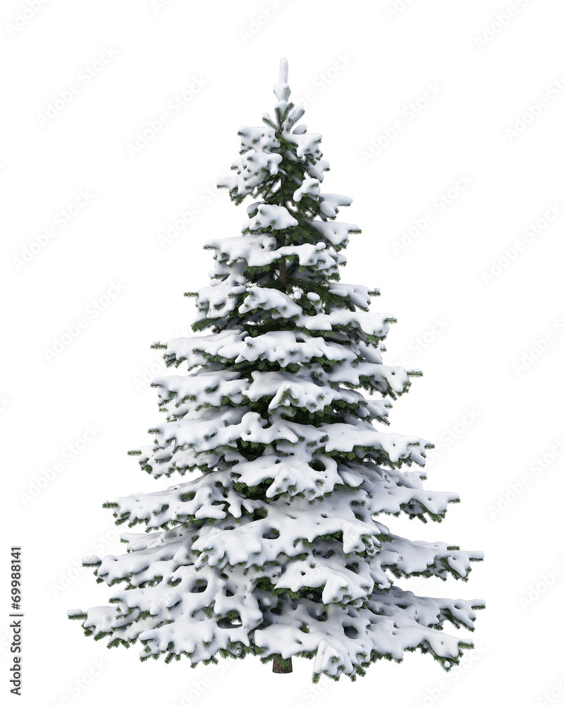 Fototapeta premium snow Christmas tree isolated on white background