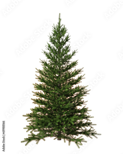 Christmas tree isolated on white background © mtlapcevic