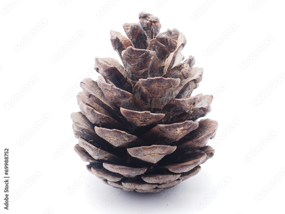 cone on white background cone on white background