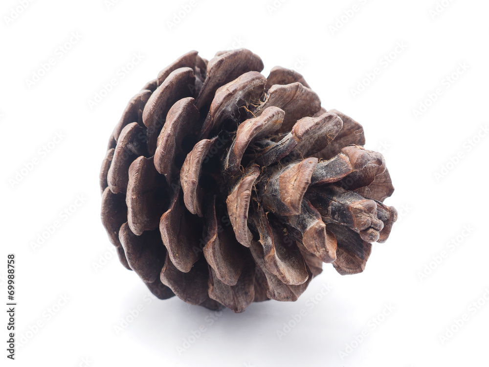 cone on white background