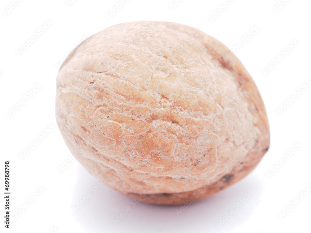 walnut on a white background walnut on a white background
