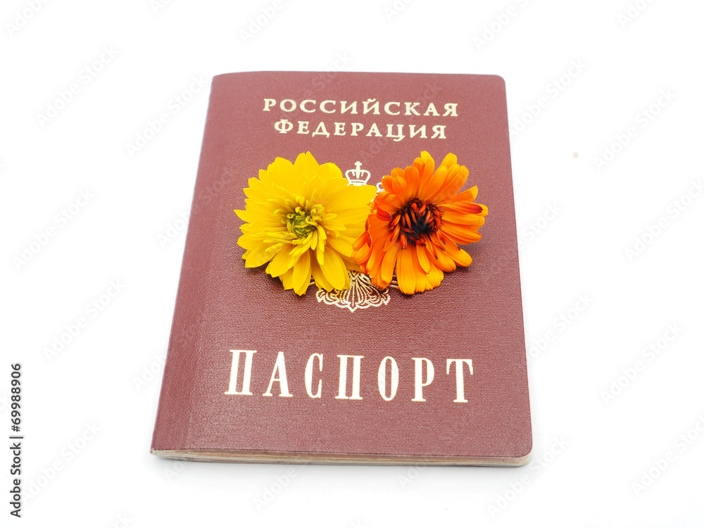 Russian passport and flowers on a white background Russian passport and flowers on a white background