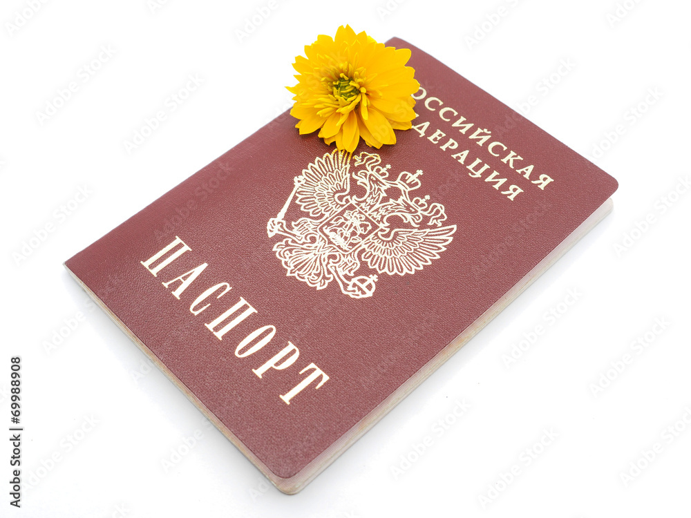 Russian passport and flowers on a white background Russian passport and flowers on a white background