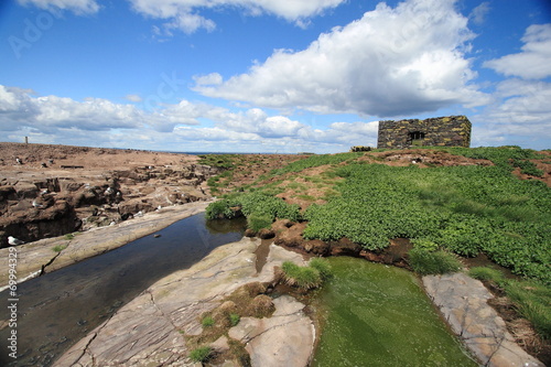 isole farne scozia paesaggio photo