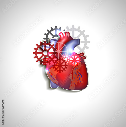 Heart with gears, human heart anatomy