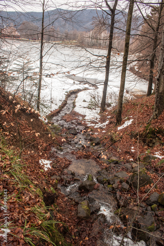 River in forest flowing in a mountain lake  winter landscape