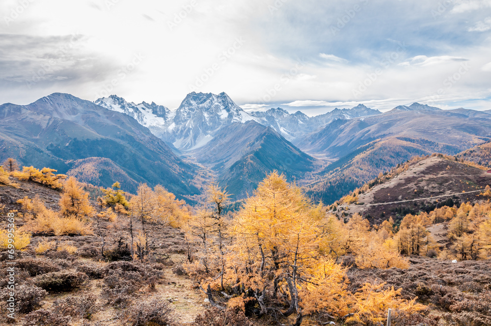 mountain autumn landscape