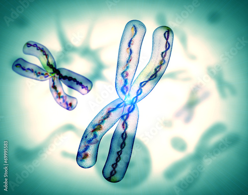 microscopic view of chromosome x photo