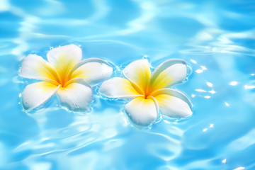 Keuken achterwand Frangipani Romantisch koppel ontspant samen  © Romolo Tavani