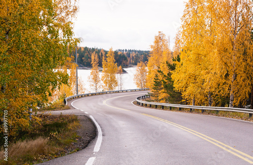 Road in Golden autumn