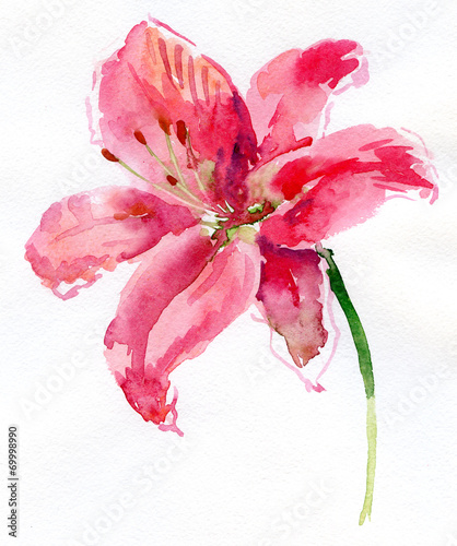 Watercolor lily