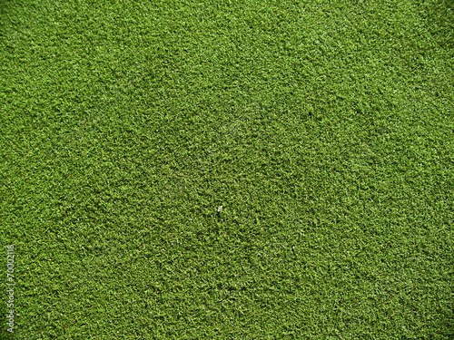 Soccer field grass on the green