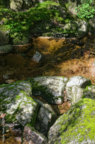 Woodland Stream