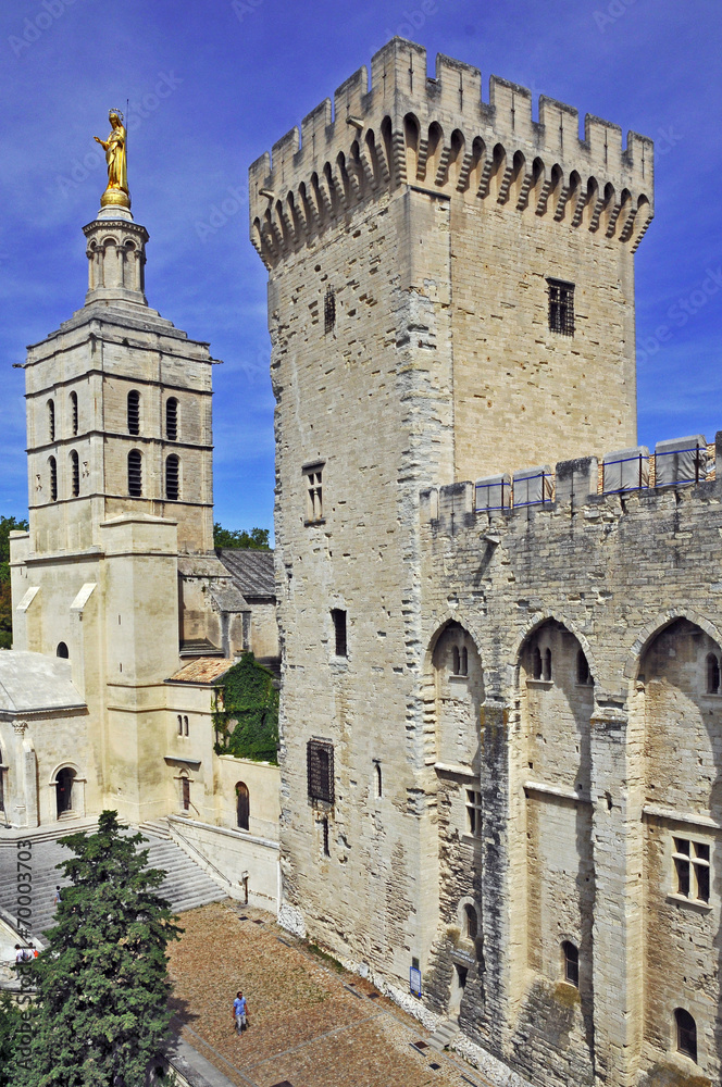 Avignone, il Palazzo dei Papi e Notre Dame des Domes