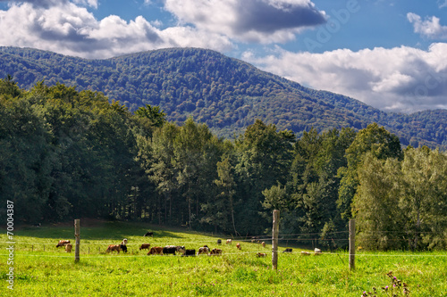 Summer Mountains Landscape