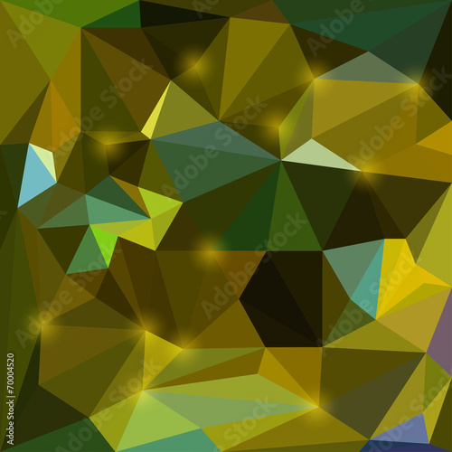 Abstract  vector triangular geometric background