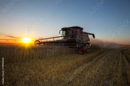 Fall harvest