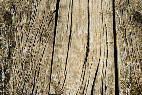 Wood texture,