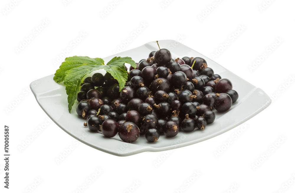 Black currant Black currant