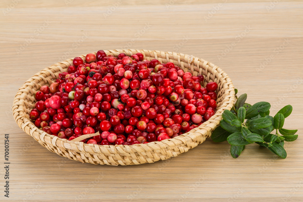 Cowberry Cowberry