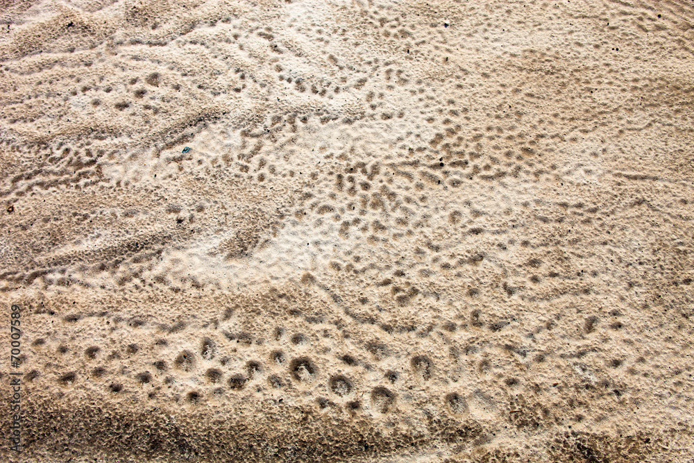 Sand surface after the rain Sand surface after the rain