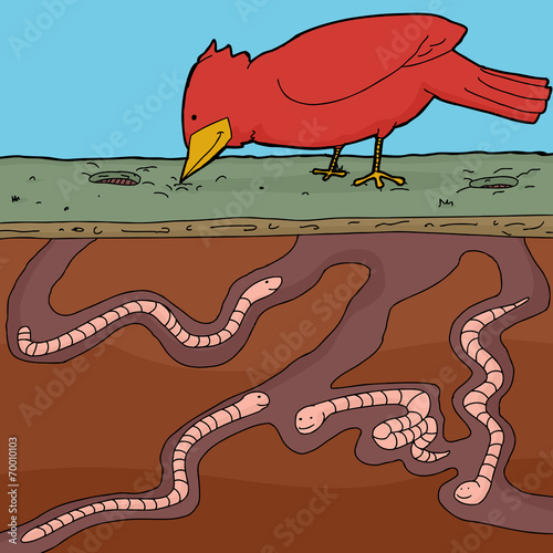Bird Pecking For Worms