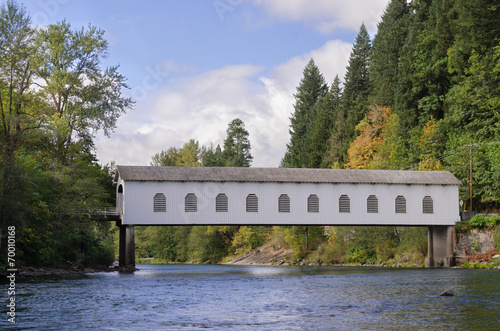 Foto Goodpasture covered bridge from the river