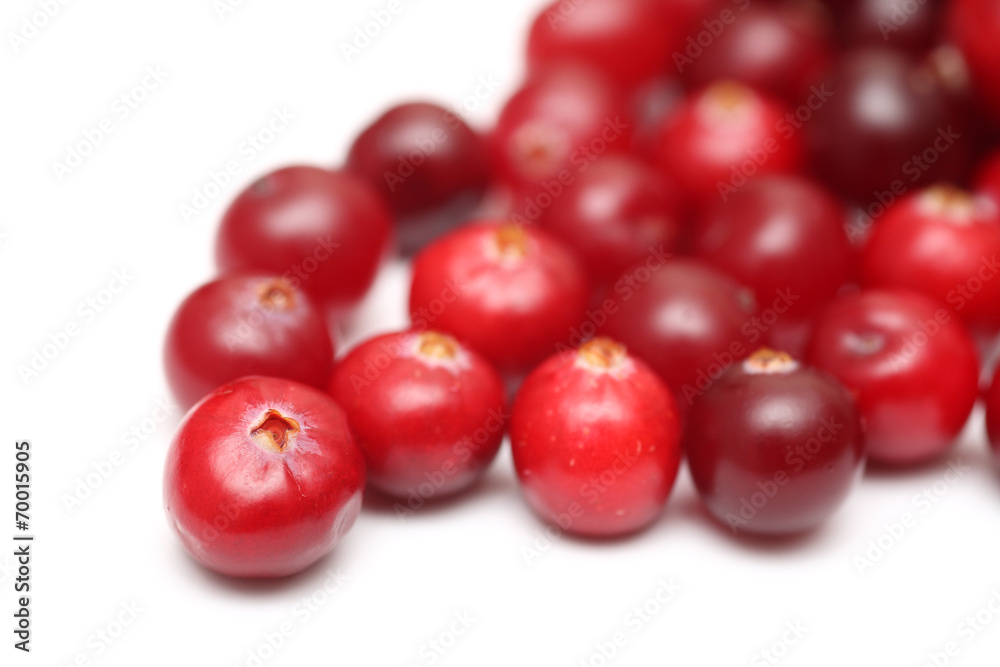 Cranberries Cranberries
