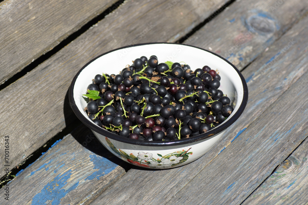 Black currants in a bowl on the bench. Black currants in a bowl on the bench.